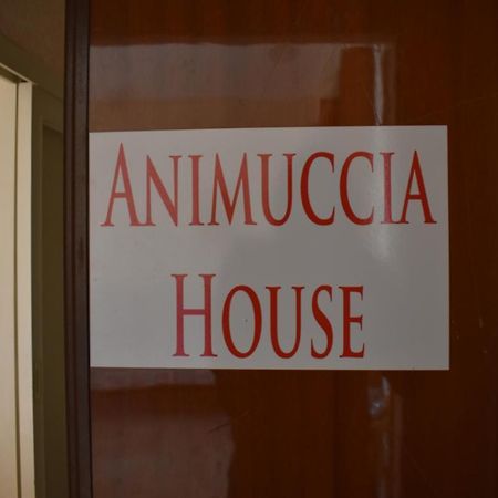 Casa Vacanze "Animuccia House" Roma Luaran gambar
