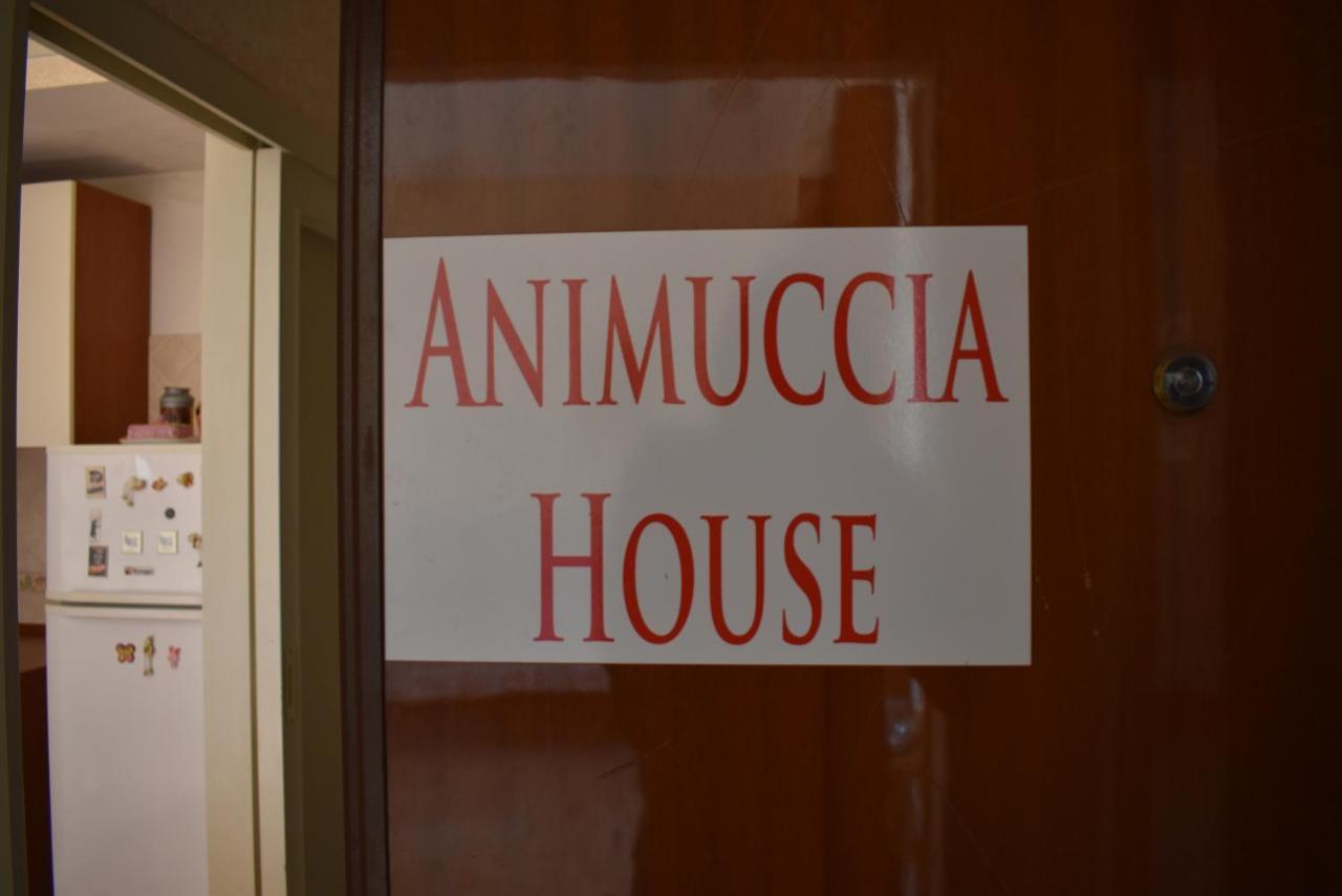 Casa Vacanze "Animuccia House" Roma Luaran gambar